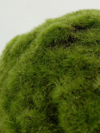 Moss Ball Artificial 5in