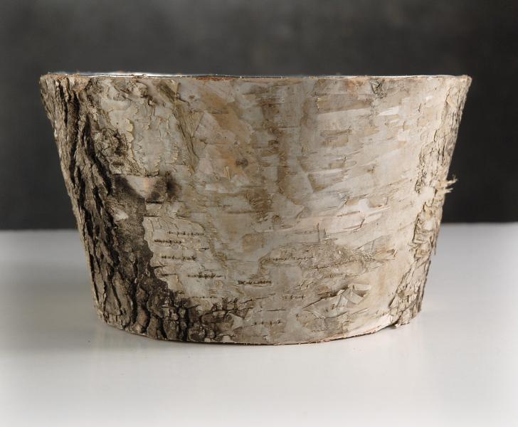 Natural Birch Bark Zinc Pot Planter 6x3 - thumbnail number 3