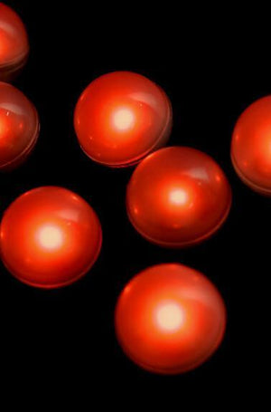 fairy berries orange 10 magical led lights