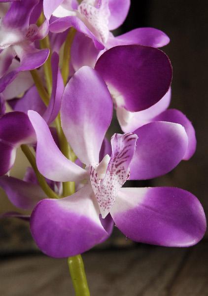Silk Orchids Lavender 28in