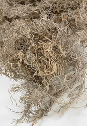 Spanish Moss Natural 125 cubic inches - thumbnail number 1