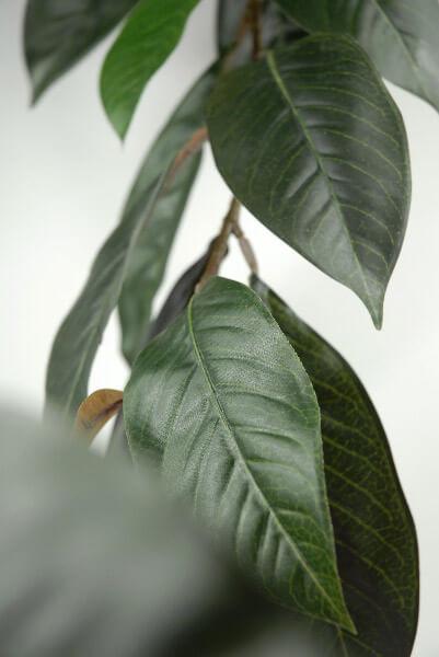 natural touch magnolia leaf garland 6ft 44 leaves