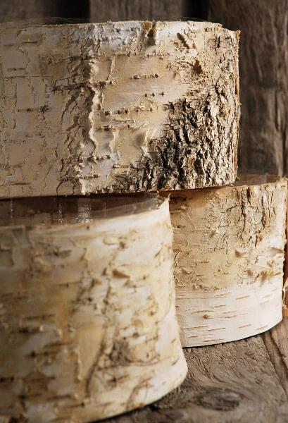 birch bark planter pot 6 5x 3 5 inch