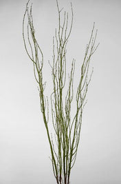 Birch Tree Branches Moss Coated 4.5' (5 branches/ bunch) - thumbnail number 2