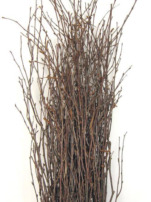 Natural Birch Tree Branches 3-4ft (25 branches) - thumbnail number 1