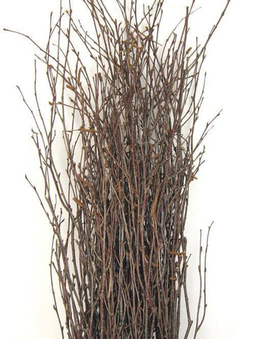Curly Willow Tree Branch Bundle, 3-4 Feet