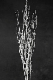 Birch Tree Branches Silver Sequin Sparkle 54" - thumbnail number 2