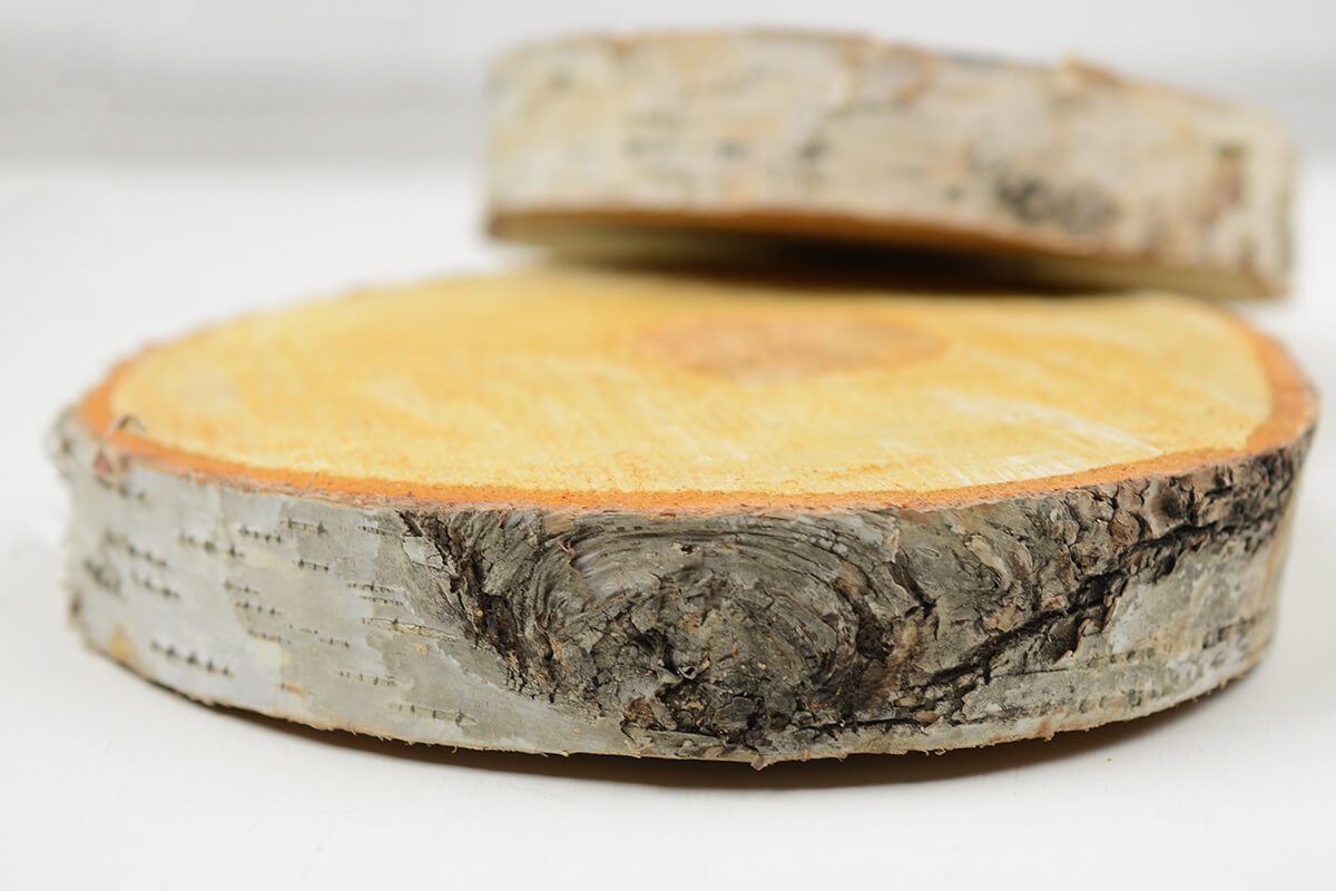Birch Slab Round 8" x 1" thick