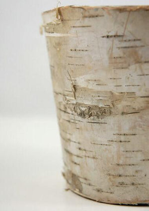 birch bark covered zinc planter vase 5in