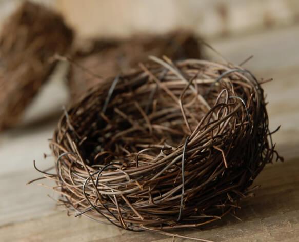 9 3 inch natural twig tiny bird nests bulk buy