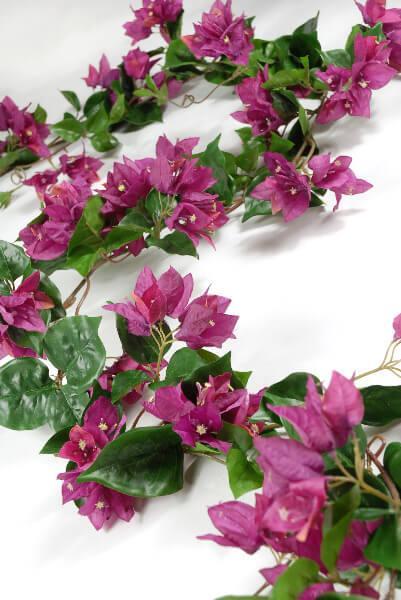 Bougainvillea Garlands - thumbnail number 1