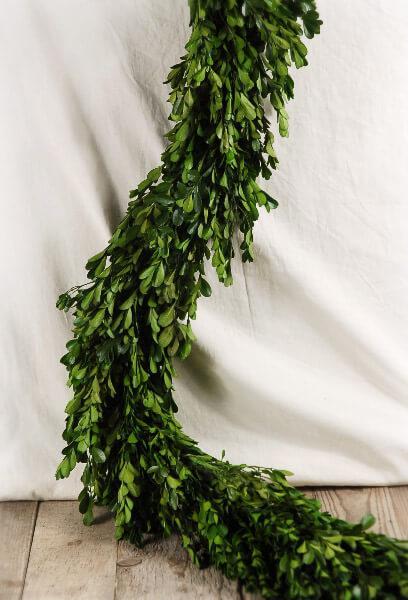 Natural Preserved Boxwood Garland 45in - thumbnail number 1