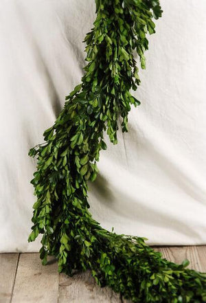 Natural Preserved Boxwood Garland 45in