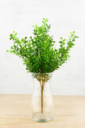 artificial boxwood spray 12in