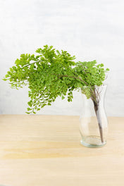 artificial maidenhair fern bush 18 - thumbnail number 2