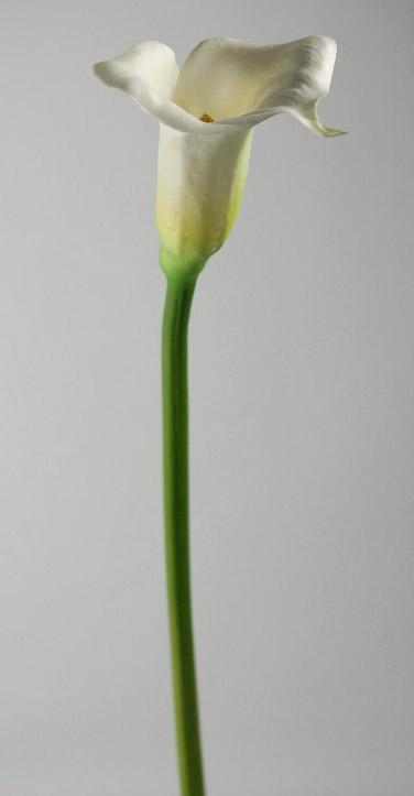 real touch calla lily in white 27