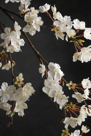 Cherry Blossom Branch 42in White Flowers