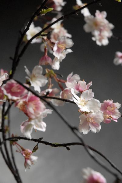 Silk Cherry Blossom Branches 58" - thumbnail number 1