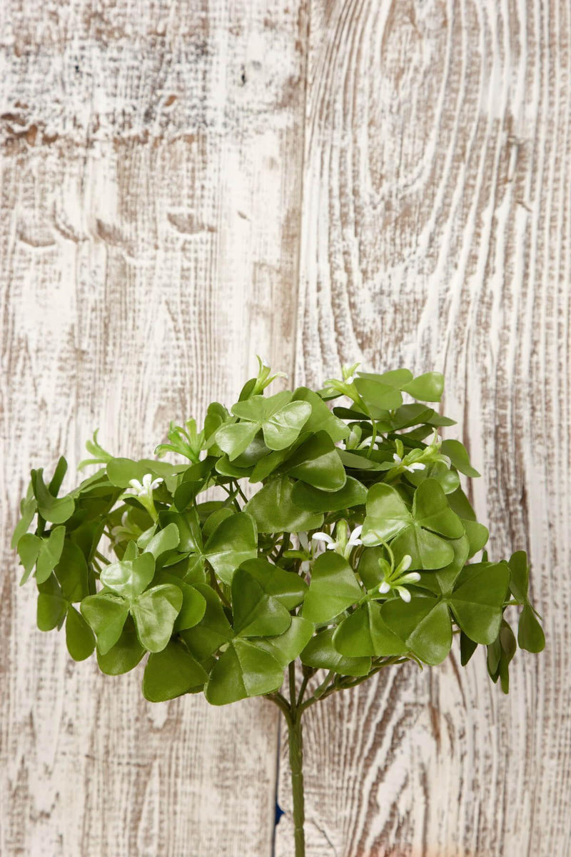 clover bush 9in - thumbnail number 3