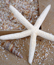 Crushed Shells Fine 1.75 lbs - thumbnail number 2