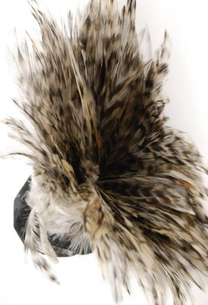 feather trim chinchilla 36in