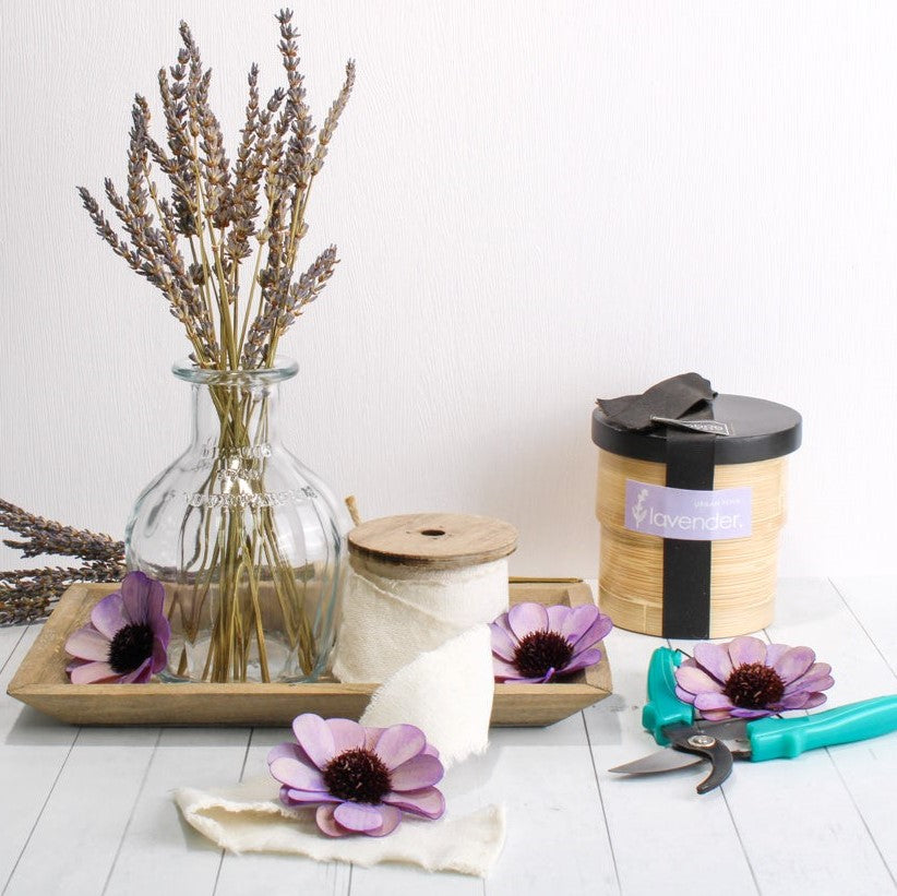 lavender grow kit in bamboo pot