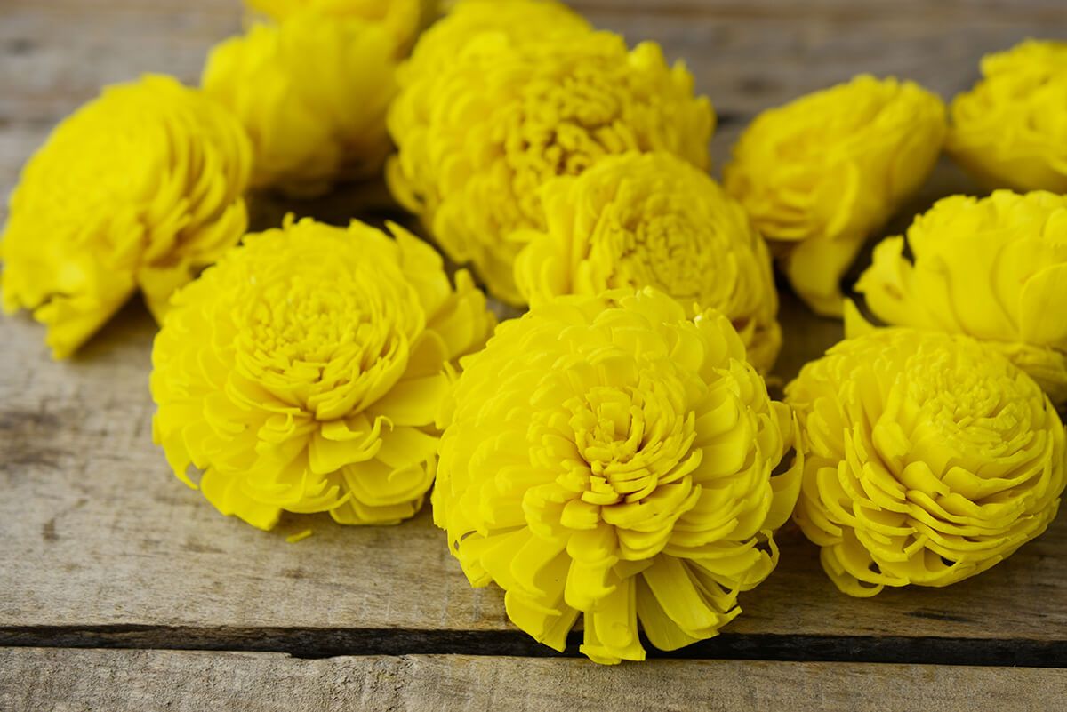 sola flowers yellow chorki flowers 12 flowers