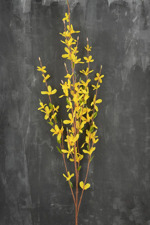 forsythia flower yellow 38in