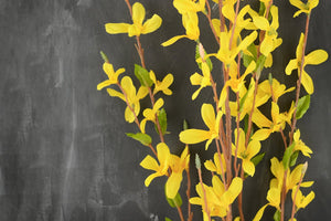 Forsythia Flower Yellow 38in