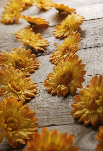 Yellow Gerbera Daisy Garland with 18 Flowers