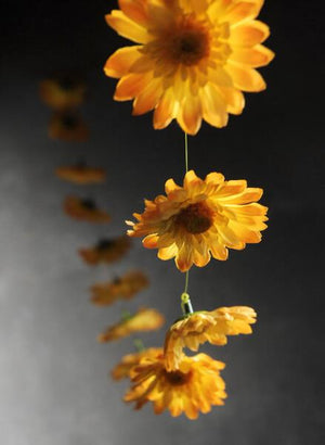 Yellow Gerbera Daisy Garland with 18 Flowers