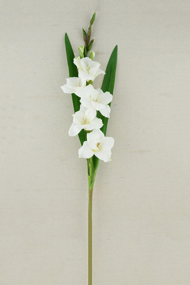 gladiolus flower cream 33in - thumbnail number 2