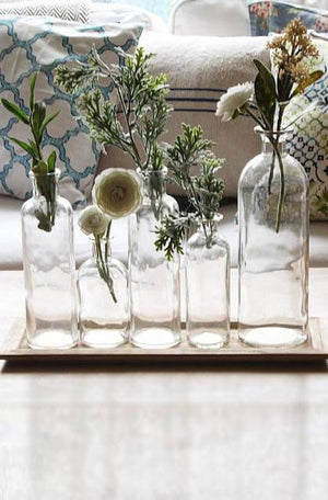 5 Glass Bottle Vases w/Tray 16in