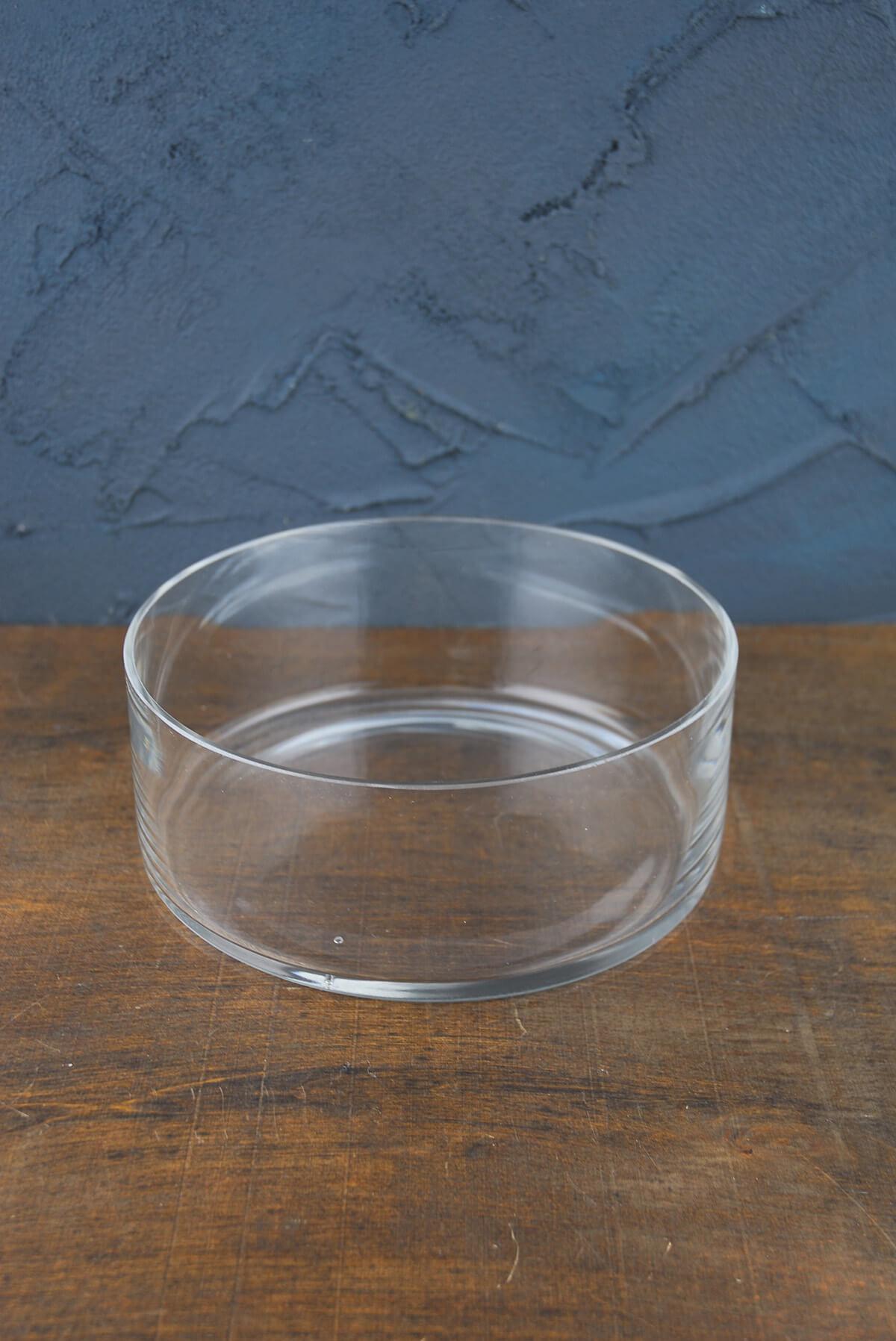 Clear Glass Round Terrarium Dish 8"