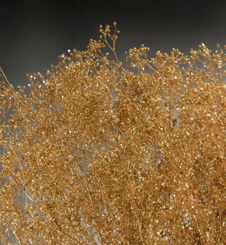 Gold Baby's Breath Branches 4oz Bunch 26in