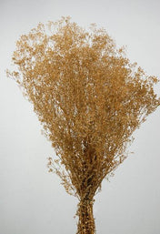gold baby s breath branches 4oz bunch 26in - thumbnail number 2