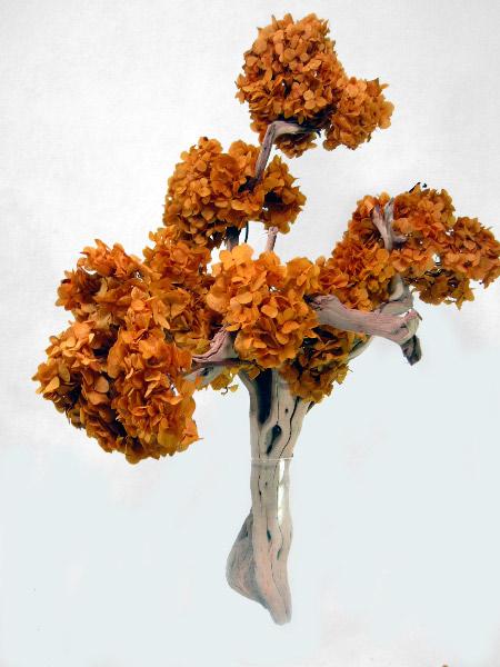 Natural Grapewood Branches 18in Sandblasted and Sanitized