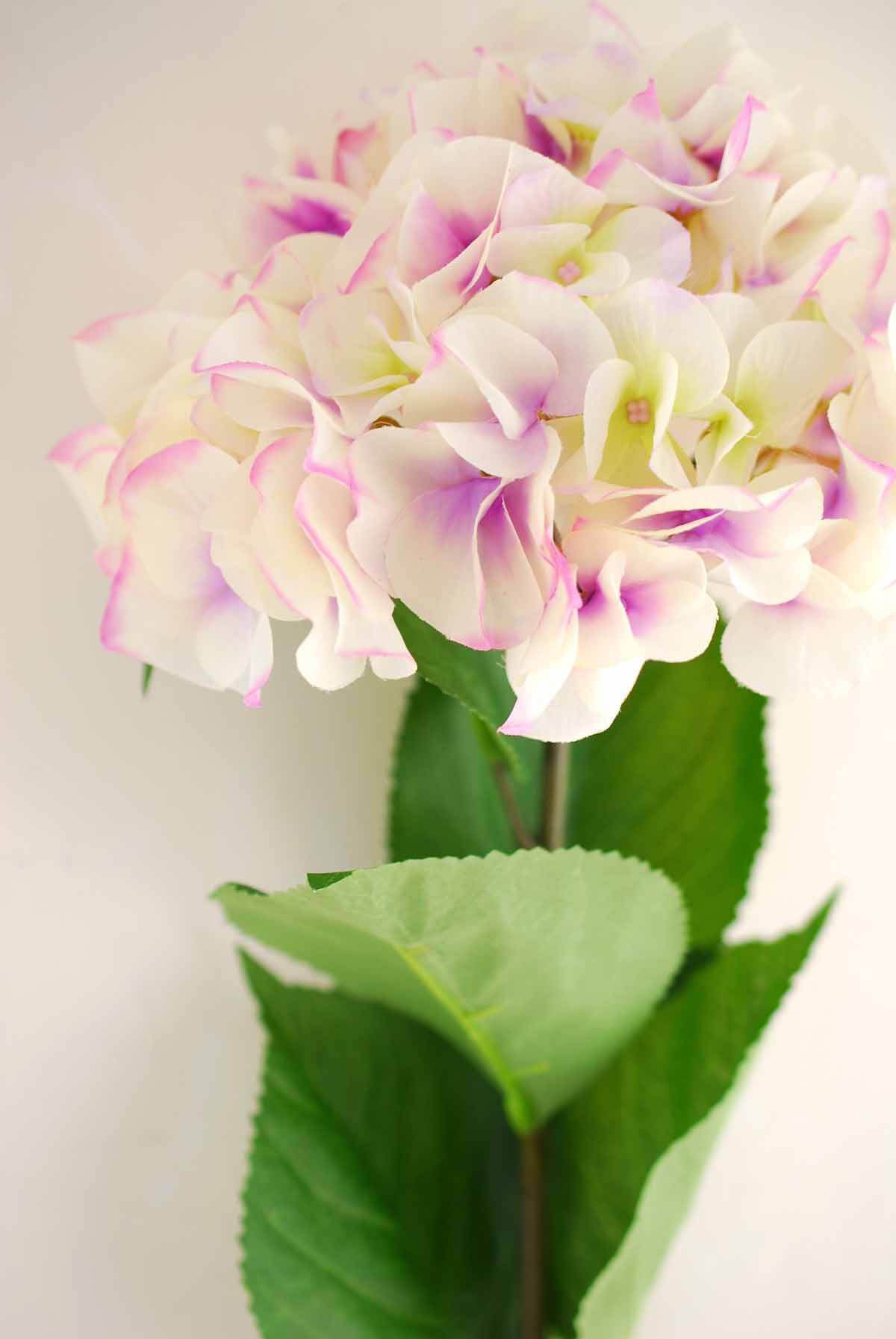 Silk Cream & Lavender Hydrangea Spray  with 8in Bloom