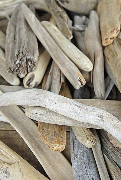 Lake Superior Driftwood 5"-12" (40 pcs)