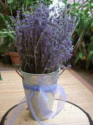 Lavender Flowers Air Dried Premium Blue Fragrant (90+ stems)