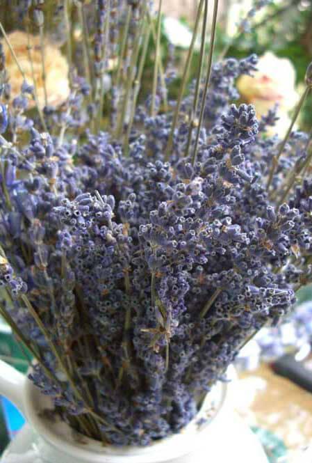 Dried Lavender Bundle, Flower, Bunch, Bouquet