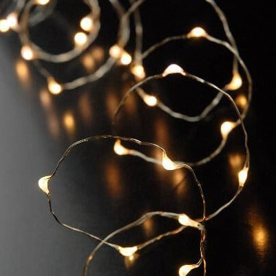 Fantado 30 LED Warm White Mini String Lights, 10.8 ft Clear Cord, Battery Operated by PaperLanternStore