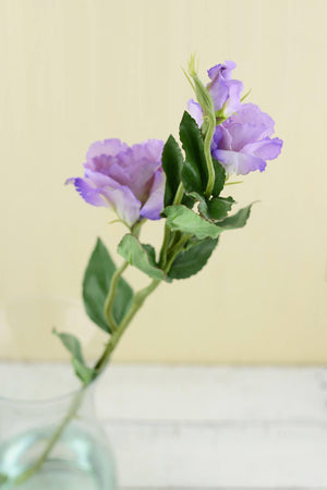 lilac lisianthus flowers