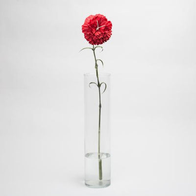 richland red carnation 27 24 - thumbnail number 2