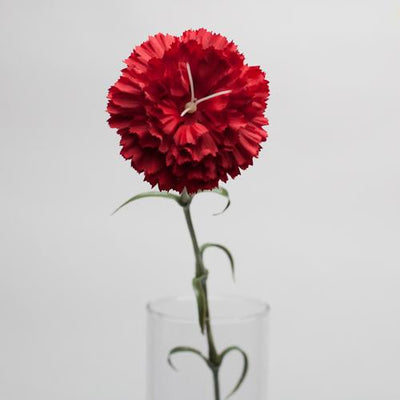 Richland Red Carnation 27"