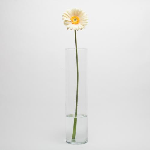 Richland Yellow Gerbera Daisy 24"