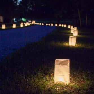 eastland white luminary bags only set of 100