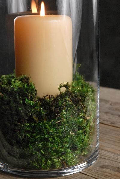 Preserved Natural Moss Roll Sheeting 14x48 by Quick Candles