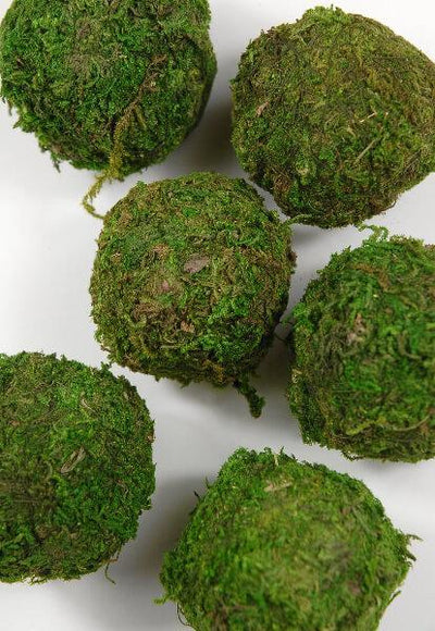 Natural Moss Balls 2 Inch (6 balls) - thumbnail number 1