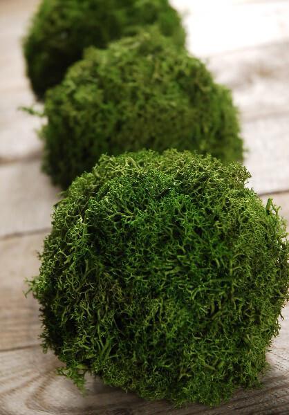 Green Reindeer Moss 4"  Balls (set of 3)
